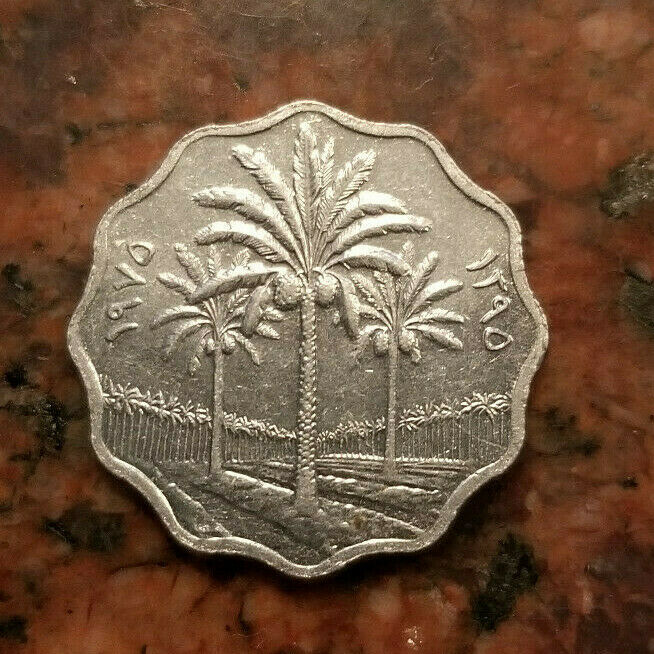 1975 Iraq 5 Fils Coin ١٩٧٥ - #a5183